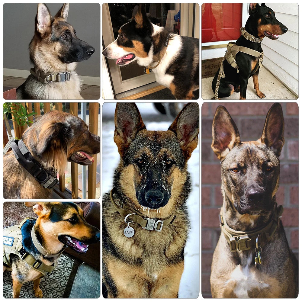 PETRAVELCN Dog Training Collar Adjustable Tactical Collar And Leash Set