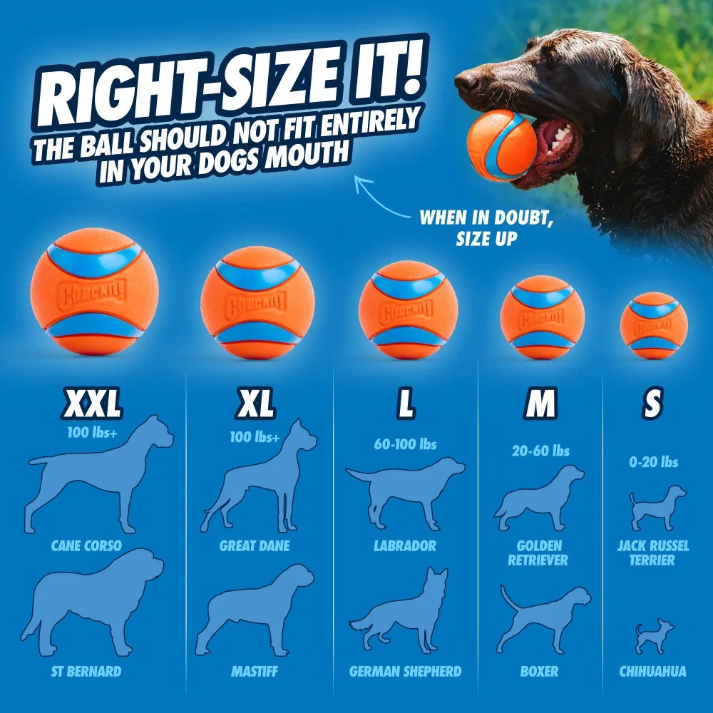 Tug Toy With Ball And Strap For Aggressive Chewers