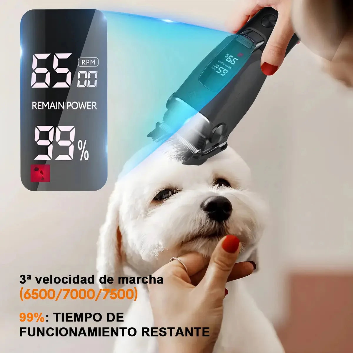 Professional Pet Grooming Clippers for Dogs and Cats Skin Friendly