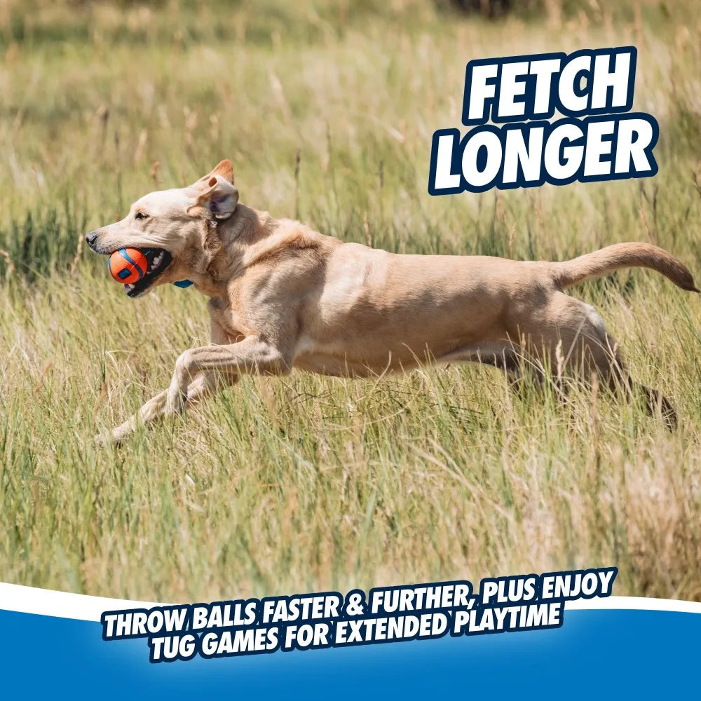 Tug Toy With Ball And Strap For Aggressive Chewers