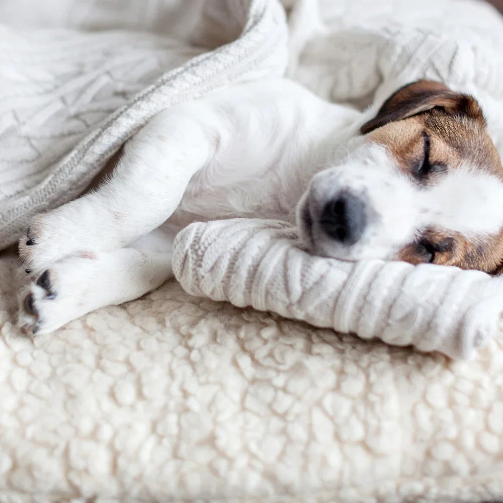 Dog Bed Replacement Cover Sherpa Top Non Slip Removable Washable