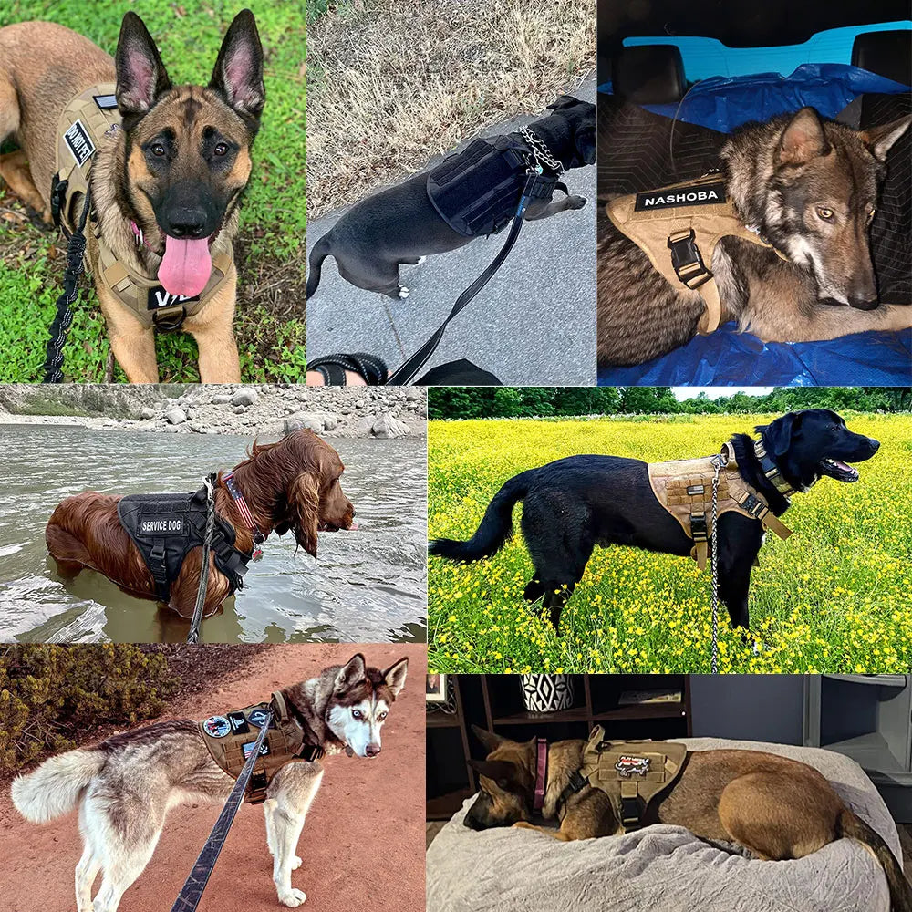 PETRAVELCN Military Dog Harness Vest For Malinois Training
