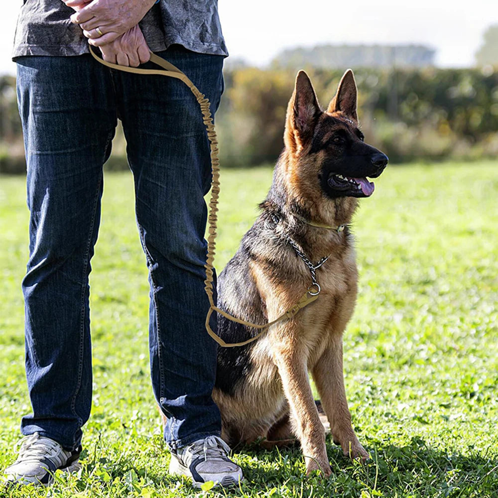 PETRAVELCN Military Dog Leash Adjustable Quick Release With Handles